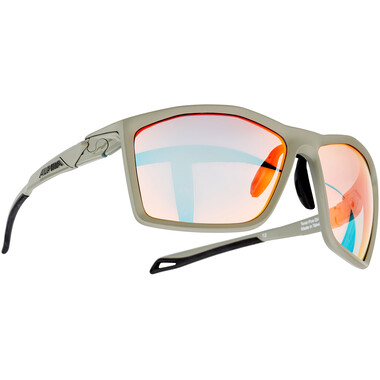 ALPINA TWIST FIVE QVM+ Sunglasses Iridium Grey 0